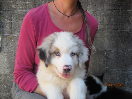 Ilanga le 17 août 2012